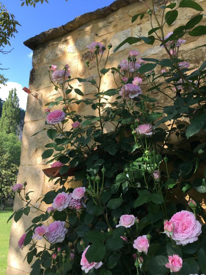 라로크가지악 Par La Riviere B&B 외부 사진